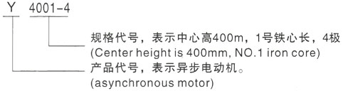 西安泰富西玛Y系列(H355-1000)高压YKS5601-8/800KW三相异步电机型号说明