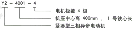 YR系列(H355-1000)高压YKS5601-8/800KW三相异步电机西安西玛电机型号说明